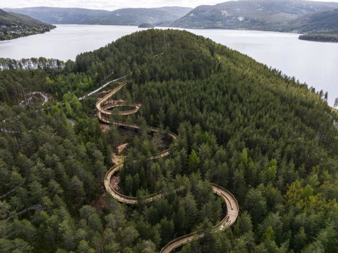 A windy pathway through a forest