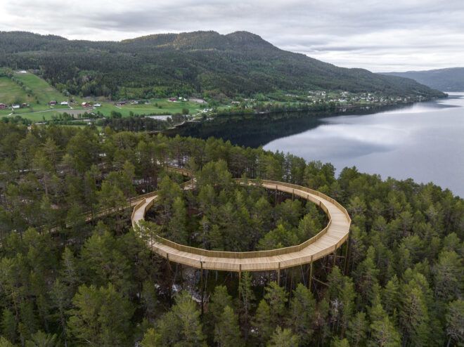 A rounded pathway within a forest
