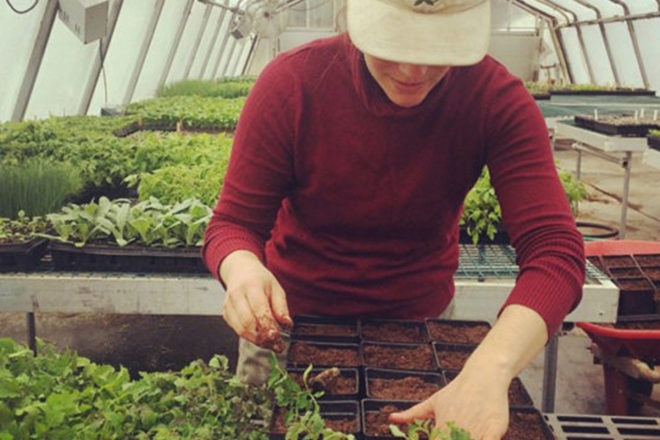 good food jobs, farmers market trainning program, farmers market